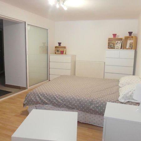 Studio Moliere Apartment Brasov Ngoại thất bức ảnh