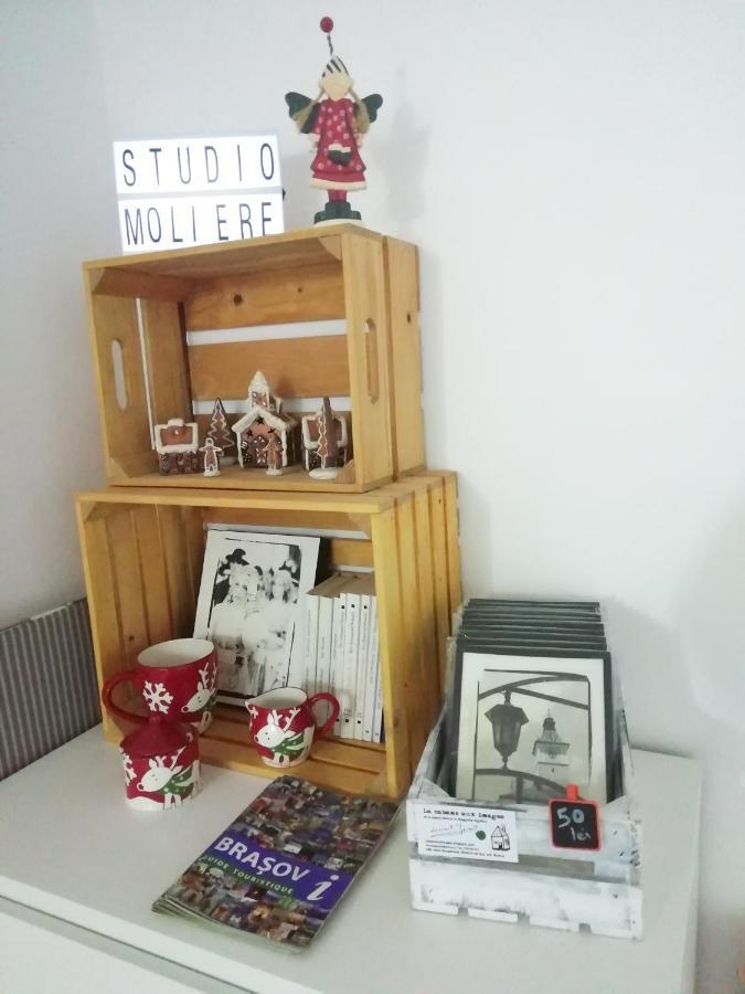 Studio Moliere Apartment Brasov Ngoại thất bức ảnh