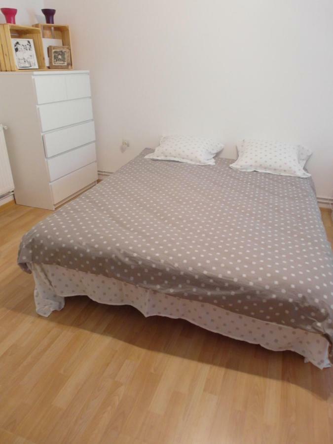 Studio Moliere Apartment Brasov Ngoại thất bức ảnh